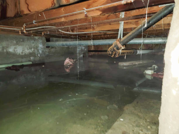 Water damage restoration process in MS