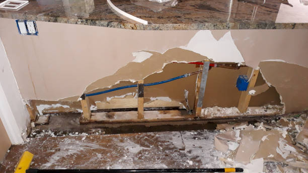 Best Flooded house restoration  in Macon, MS