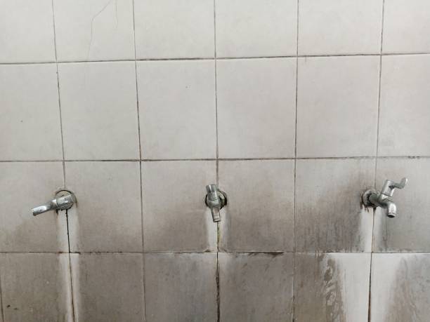 Best 24/7 water damage repair  in Macon, MS