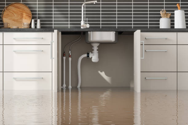 Best Basement water damage restoration  in Macon, MS