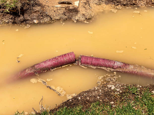 Best Carpet water damage restoration  in Macon, MS